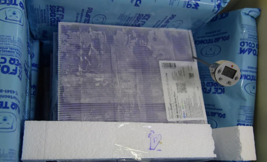 Novo lote com 114 mil vacinas contra a Covid-19 chega ao Paraná