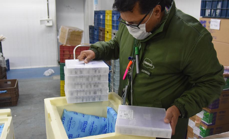 Novo lote com 114 mil vacinas contra a Covid-19 chega ao Paraná