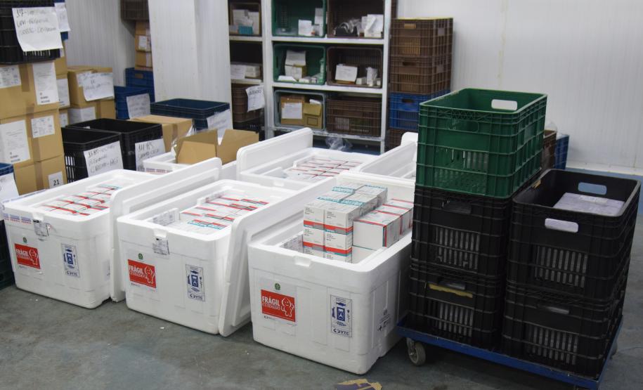 Novo lote com 114 mil vacinas contra a Covid-19 chega ao Paraná