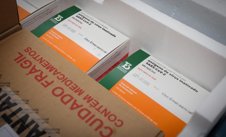 Paraná recebe mais 191,4 mil vacinas contra a Covid-19; distribuição começa no sábado