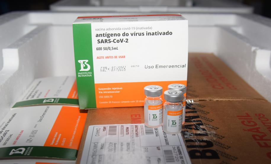 Mais 240,9 mil vacinas contra a Covid-19 chegam ao Paraná