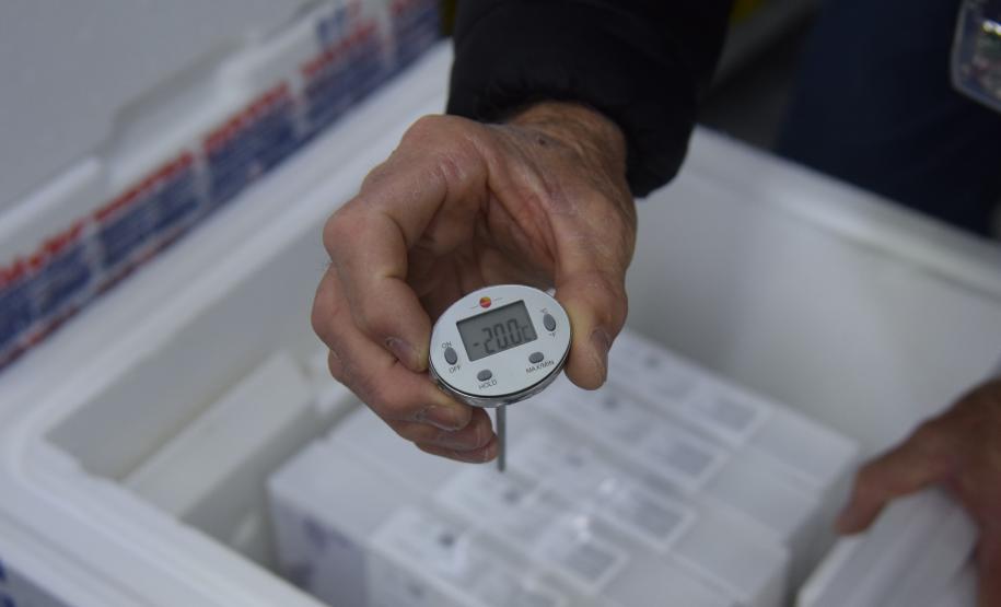 Mais 240,9 mil vacinas contra a Covid-19 chegam ao Paraná