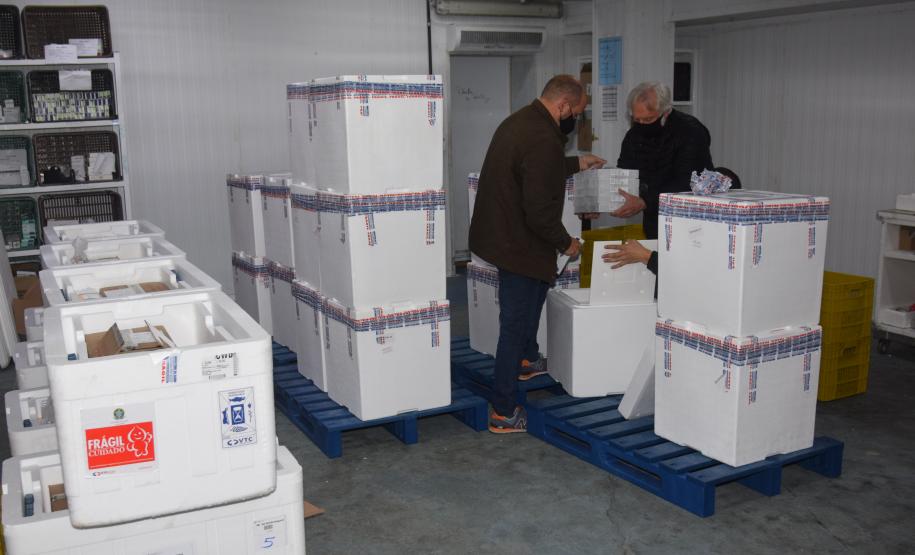 Mais 240,9 mil vacinas contra a Covid-19 chegam ao Paraná