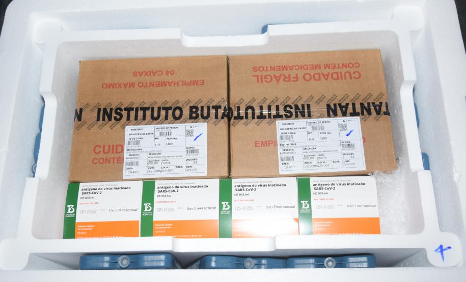Mais 240,9 mil vacinas contra a Covid-19 chegam ao Paraná