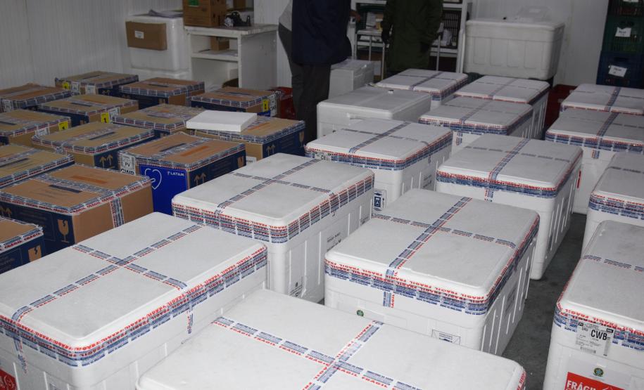 325.660 doses chegam ao Paraná e permitem avançar na imunização do público com mais de 18 anos