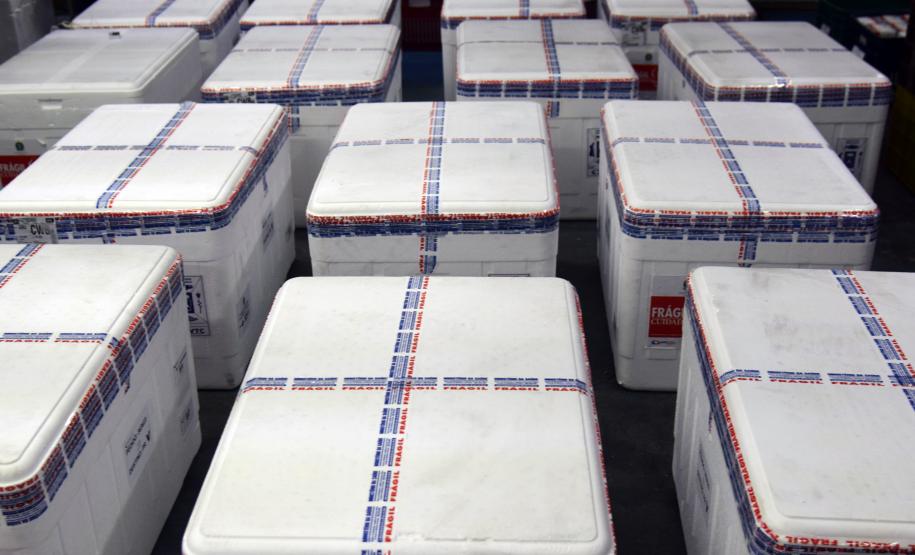 325.660 doses chegam ao Paraná e permitem avançar na imunização do público com mais de 18 anos