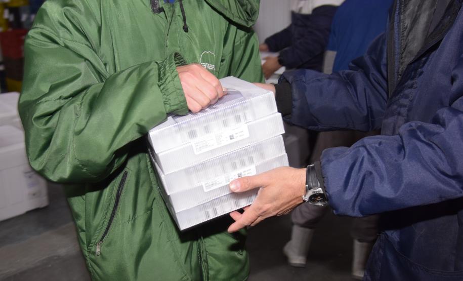 325.660 doses chegam ao Paraná e permitem avançar na imunização do público com mais de 18 anos