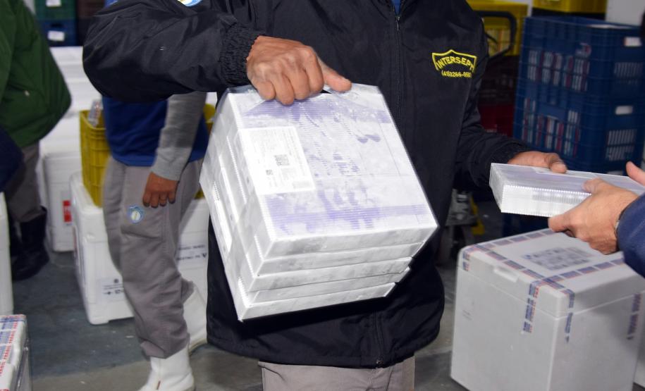325.660 doses chegam ao Paraná e permitem avançar na imunização do público com mais de 18 anos