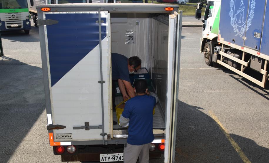 Estado distribui 445.388 vacinas contra a Covid-19 e 49.750 medicamentos para intubação; veja divisão