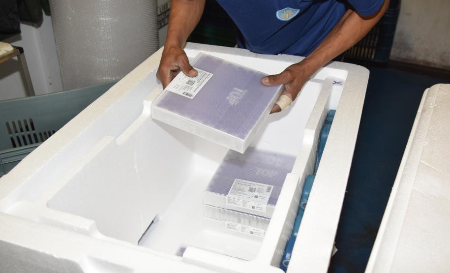 Estado distribui 445.388 vacinas contra a Covid-19 e 49.750 medicamentos para intubação; veja divisão