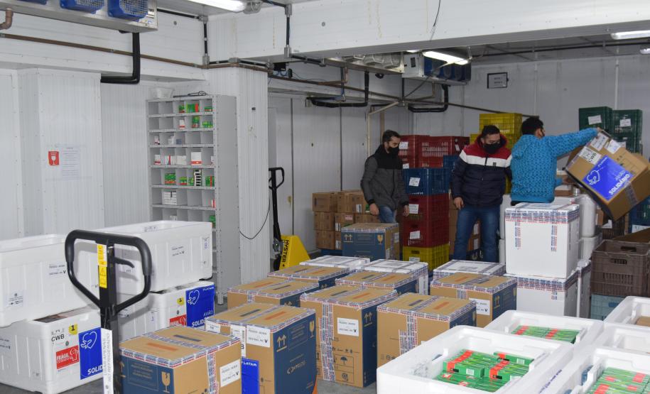 Chegam ao Paraná 107.640 doses de imunizante da Pfizer contra Covid-19