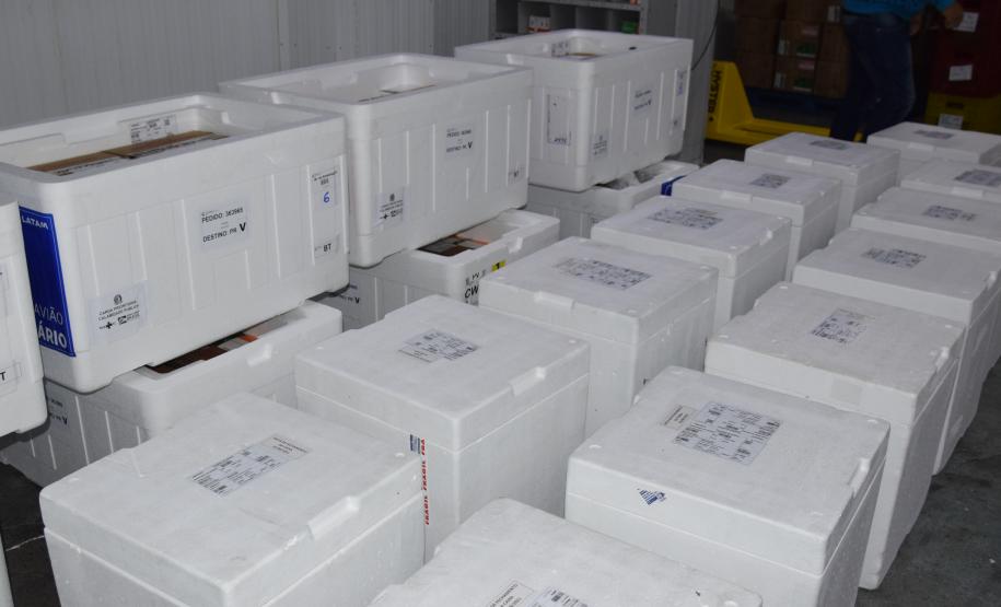 Chegam ao Paraná 107.640 doses de imunizante da Pfizer contra Covid-19
