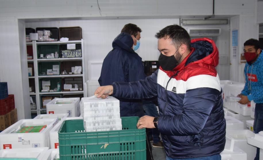 Chegam ao Paraná 107.640 doses de imunizante da Pfizer contra Covid-19