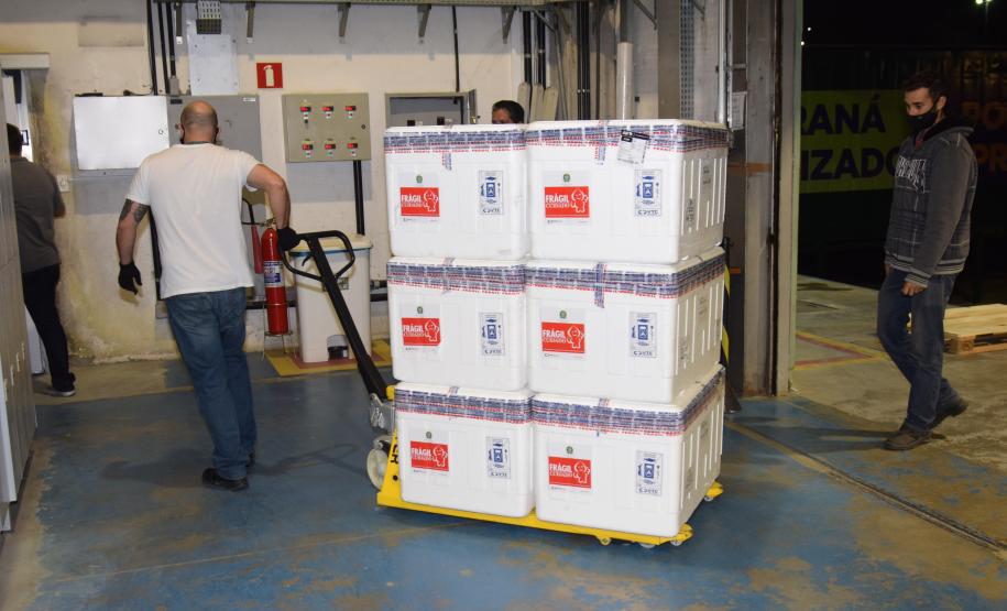 Estado recebe mais 232.250 vacinas contra a Covid-19; lote completa remessa de 435.290 doses