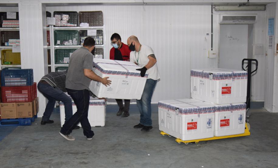 Estado recebe mais 232.250 vacinas contra a Covid-19; lote completa remessa de 435.290 doses