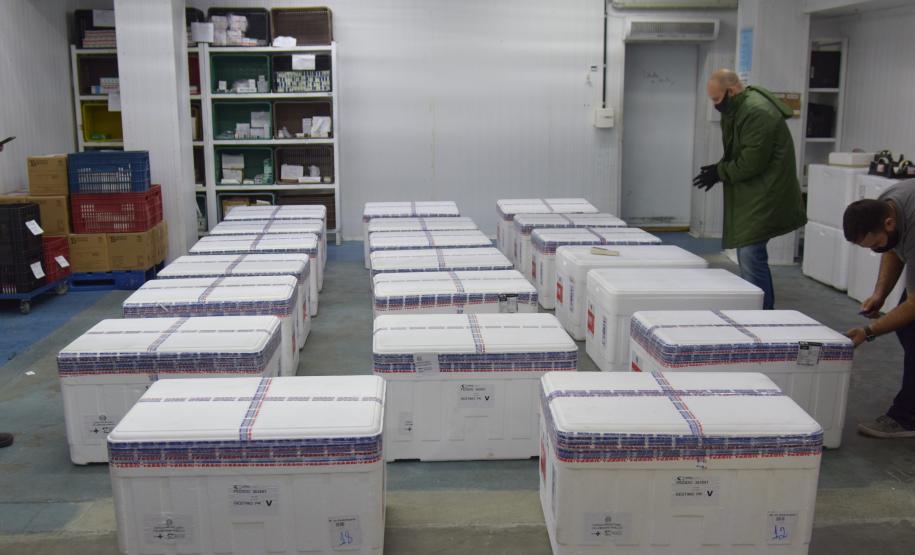 Estado recebe mais 232.250 vacinas contra a Covid-19; lote completa remessa de 435.290 doses