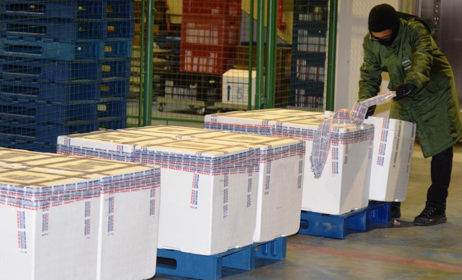 Estado recebe mais 175,5 mil vacinas contra a Covid-19