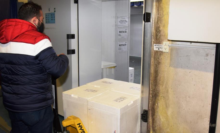 Estado recebe mais 175,5 mil vacinas contra a Covid-19