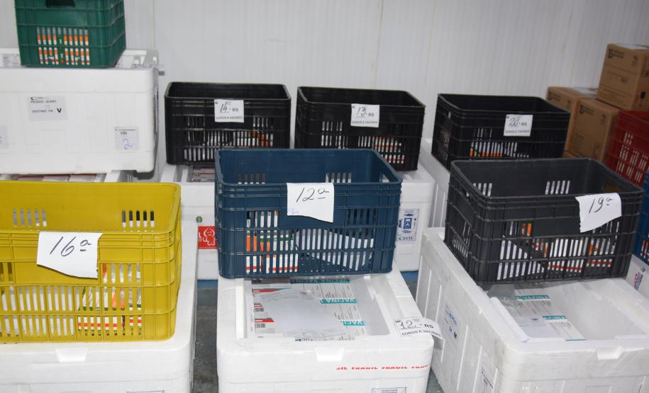 Mais de meio milhão de vacinas contra a Covid-19 serão distribuídas nesta sexta-feira