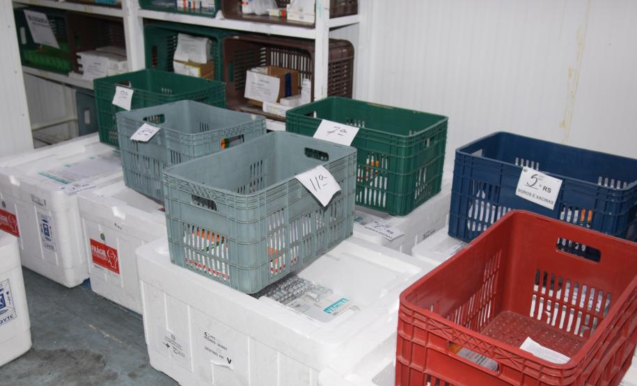 Mais de meio milhão de vacinas contra a Covid-19 serão distribuídas nesta sexta-feira