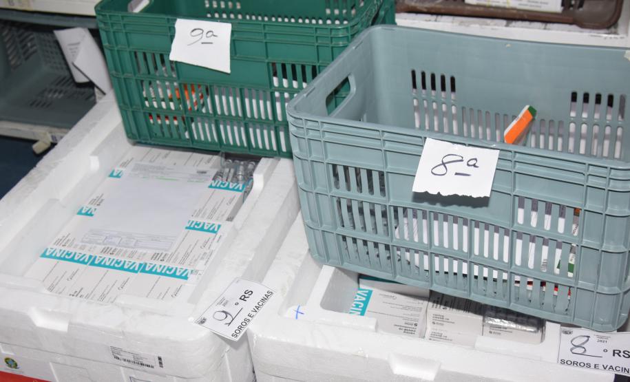 Mais de meio milhão de vacinas contra a Covid-19 serão distribuídas nesta sexta-feira