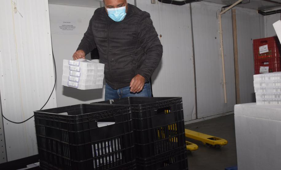 Mais 182 mil vacinas contra a Covid-19 chegam ao Paraná