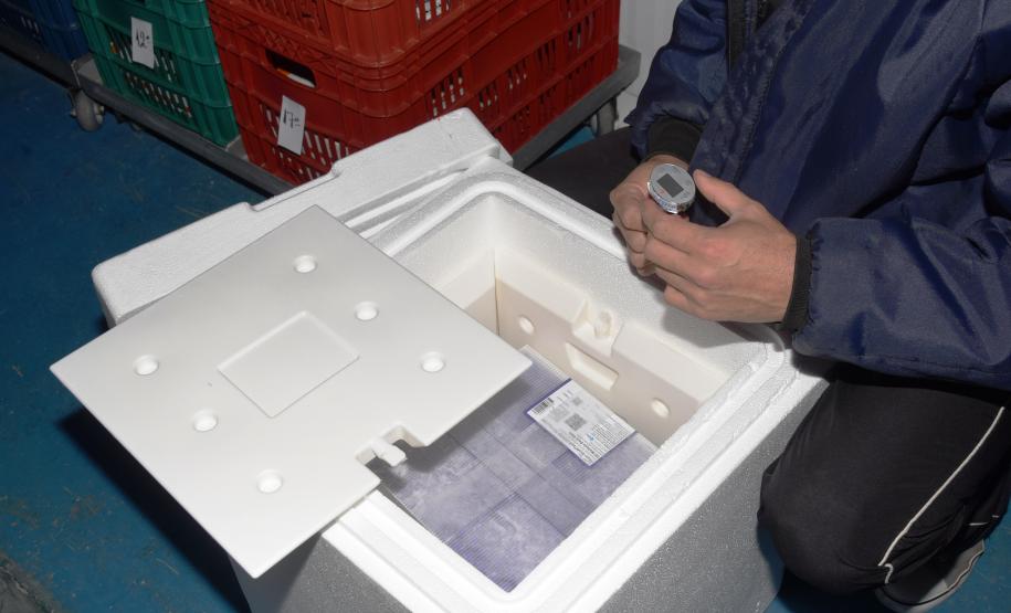 Mais 79,5 mil vacinas contra a Covid-19 chegam ao Paraná