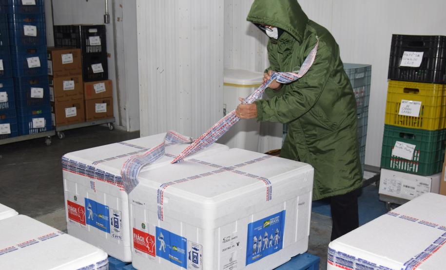 Novas 87 mil doses de vacinas contra a Covid-19 chegam ao Paraná