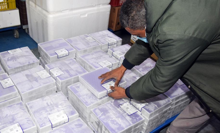 Paraná recebe 136,8 mil vacinas contra a Covid-19 e inicia distribuição de 361,7 mil imunizantes nesta sexta