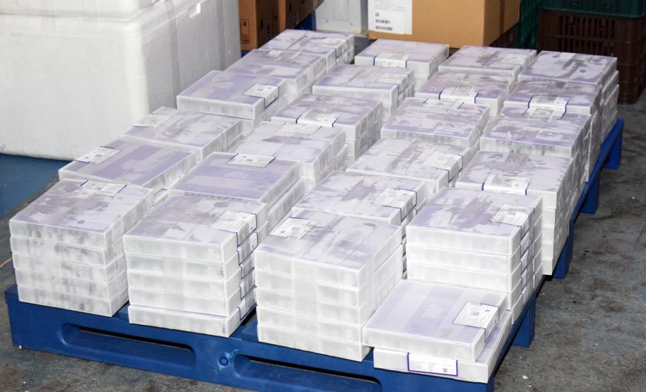 Paraná recebe 136,8 mil vacinas contra a Covid-19 e inicia distribuição de 361,7 mil imunizantes nesta sexta