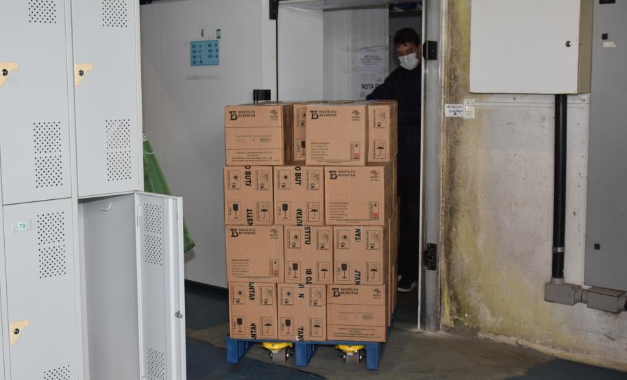 Mais 187 mil doses chegaram ao Paraná neste sábado