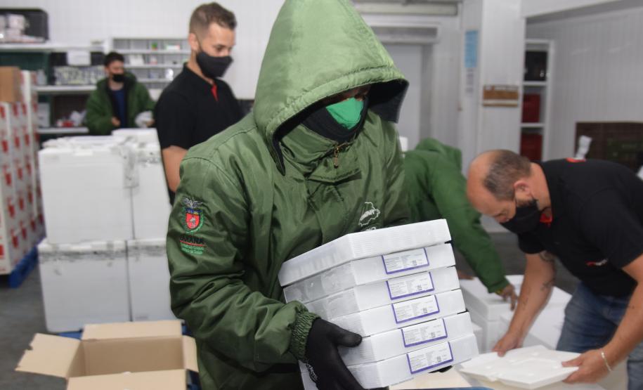 Paraná recebe mais 303 mil vacinas contra a Covid-19 para primeira dose