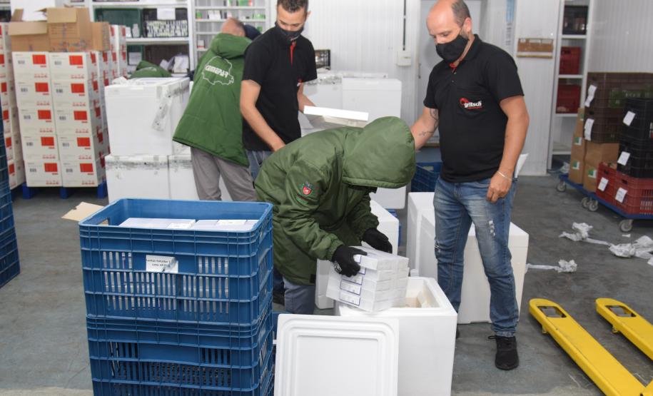 Paraná recebe mais 303 mil vacinas contra a Covid-19 para primeira dose