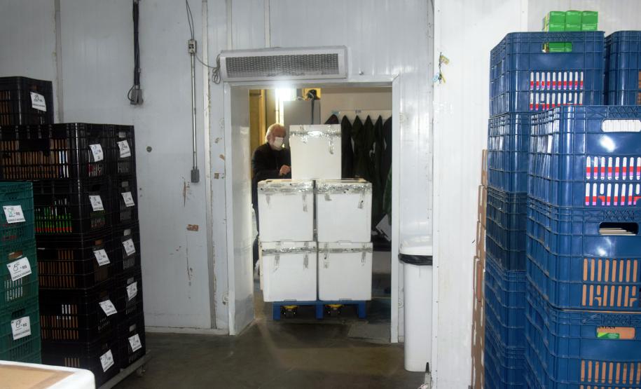 Paraná recebe mais 63 mil vacinas contra a Covid-19