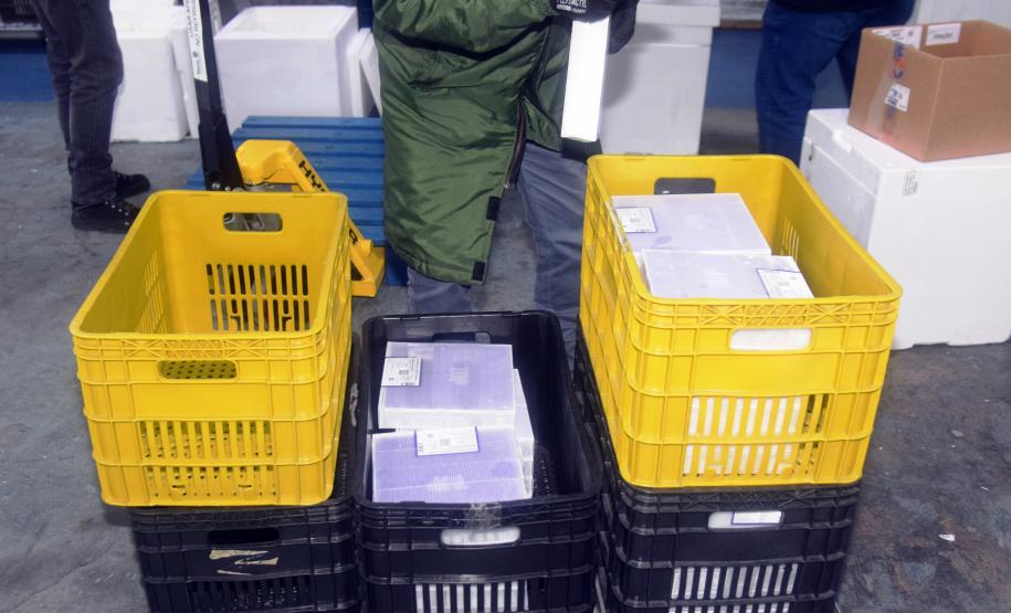 Paraná recebe mais 63 mil vacinas contra a Covid-19