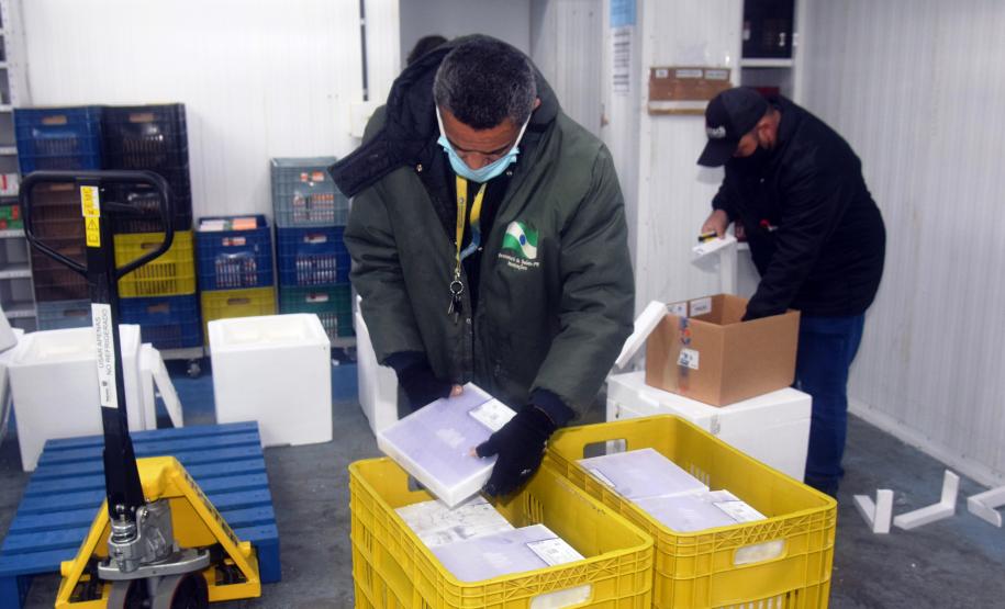 Paraná recebe mais 63 mil vacinas contra a Covid-19