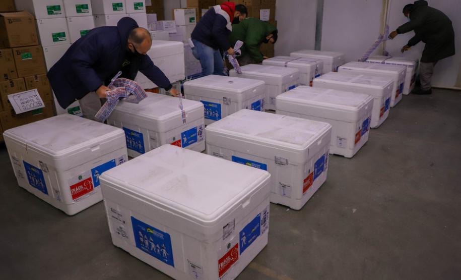 Imunizantes que chegaram nesta quinta ao Paraná serão usados para completar esquema vacinal