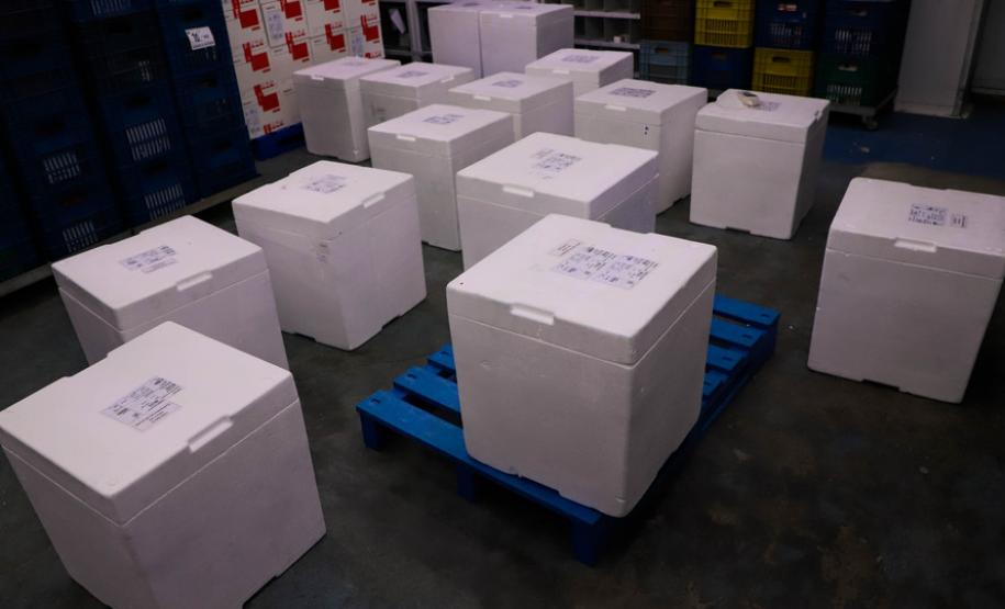 Imunizantes que chegaram nesta quinta ao Paraná serão usados para completar esquema vacinal