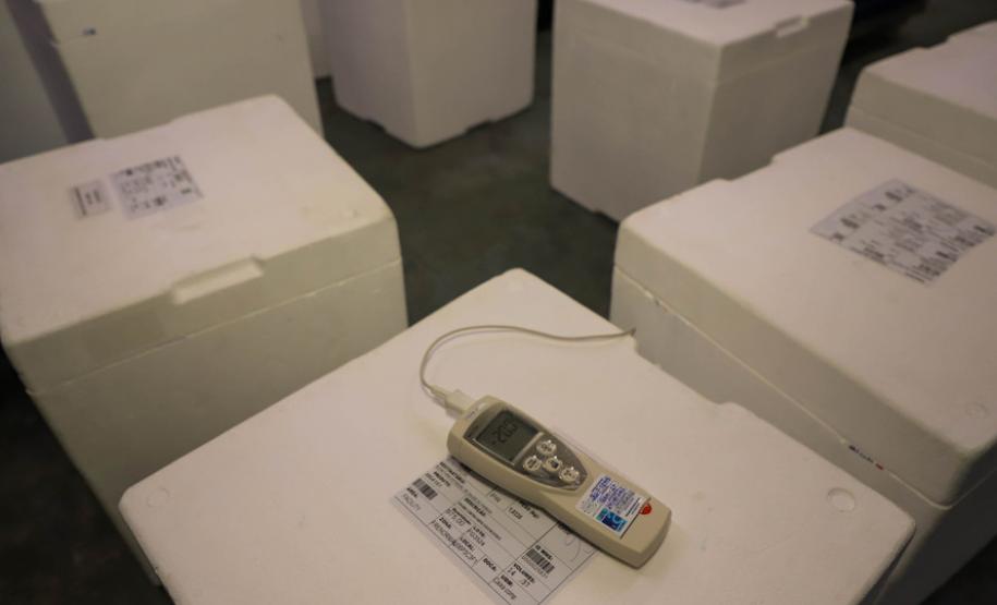 Imunizantes que chegaram nesta quinta ao Paraná serão usados para completar esquema vacinal