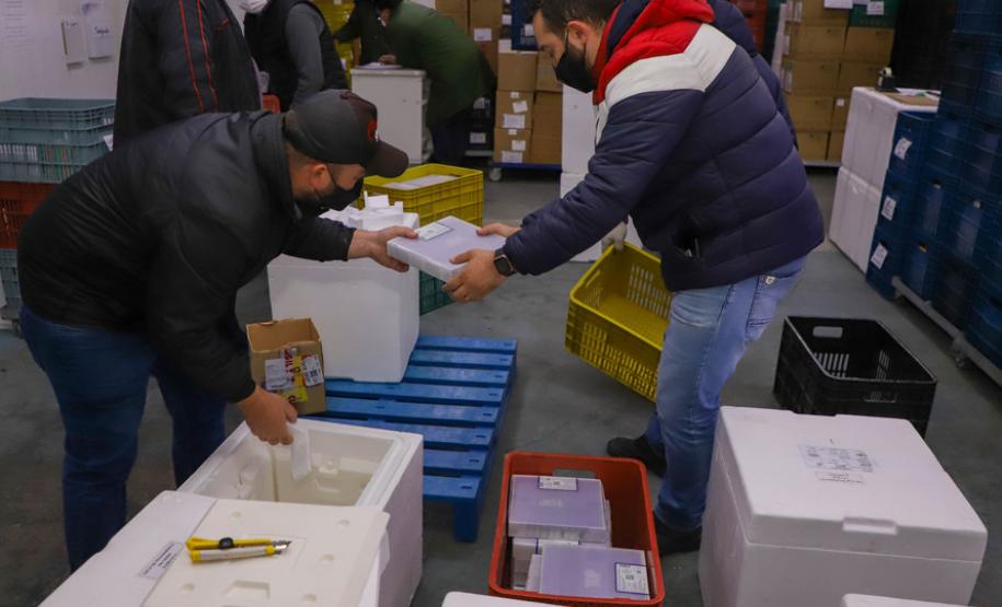 Imunizantes que chegaram nesta quinta ao Paraná serão usados para completar esquema vacinal