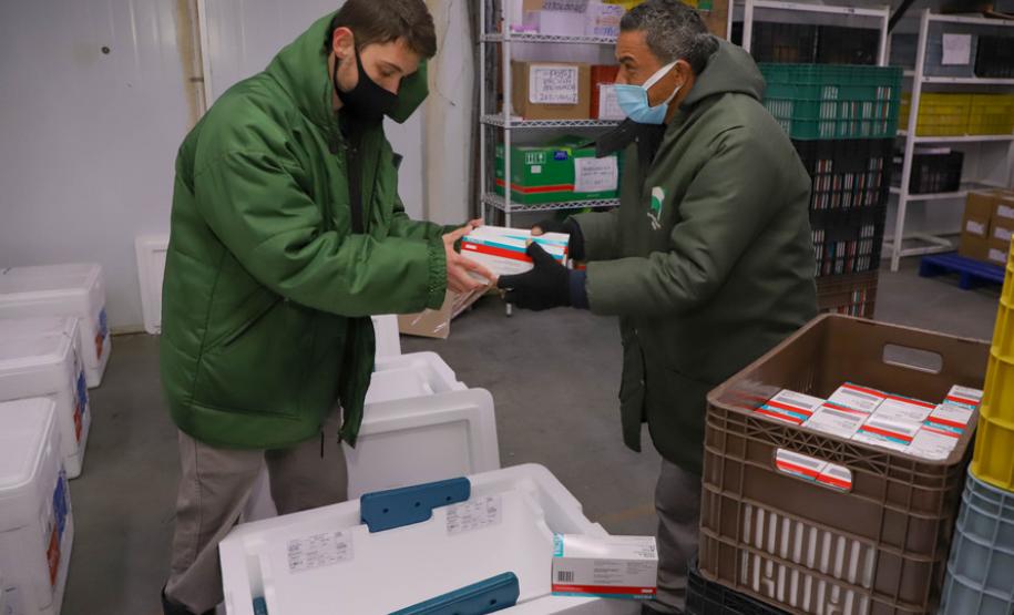 Imunizantes que chegaram nesta quinta ao Paraná serão usados para completar esquema vacinal