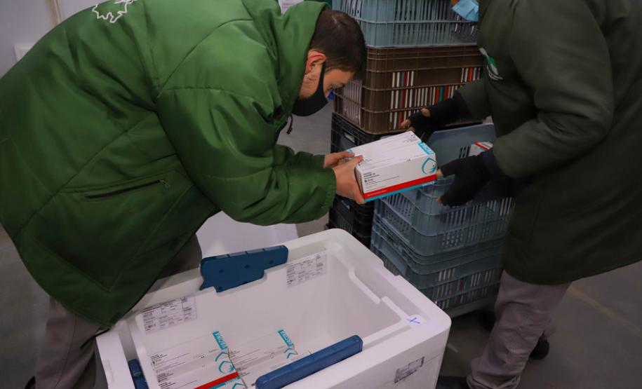 Imunizantes que chegaram nesta quinta ao Paraná serão usados para completar esquema vacinal