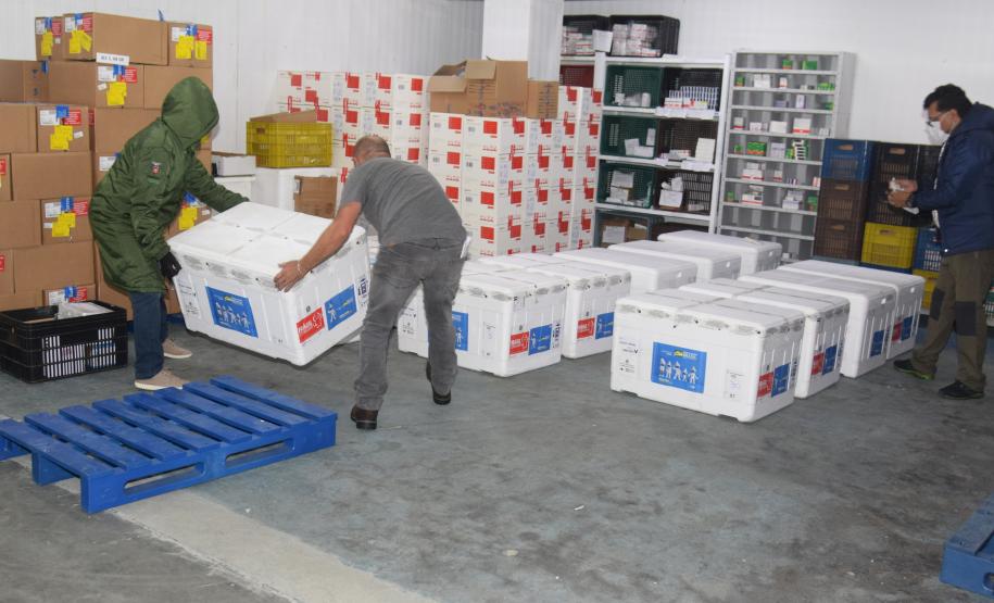 Paraná recebe mais 363 doses da vacina contra a Covid-19 neste sábado (18)