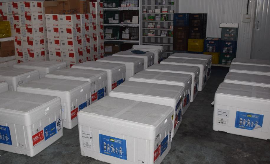 Paraná recebe mais 363 doses da vacina contra a Covid-19 neste sábado (18)