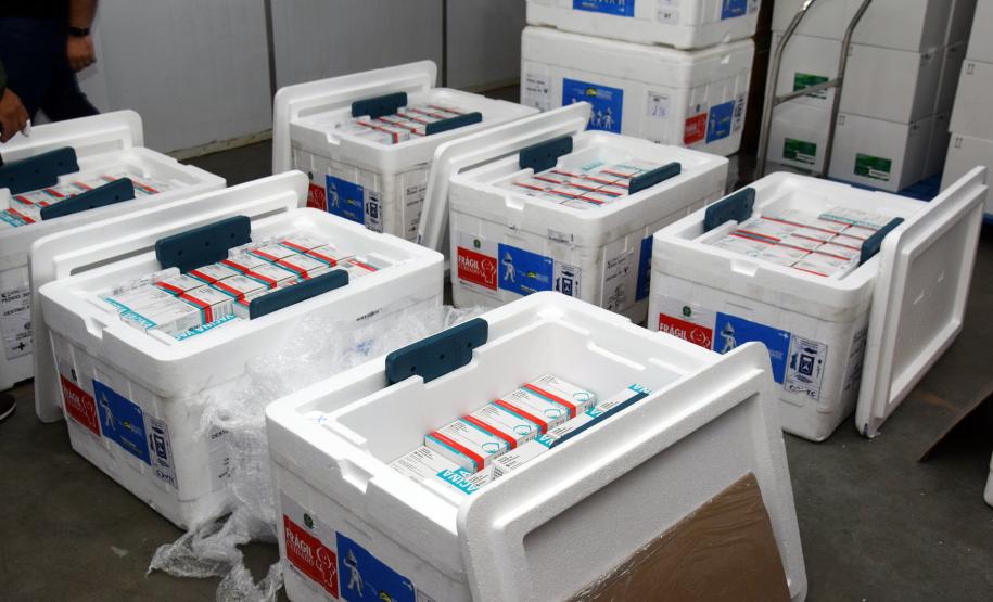 Estado recebe mais vacinas e anuncia início da aplicação da dose de reforço