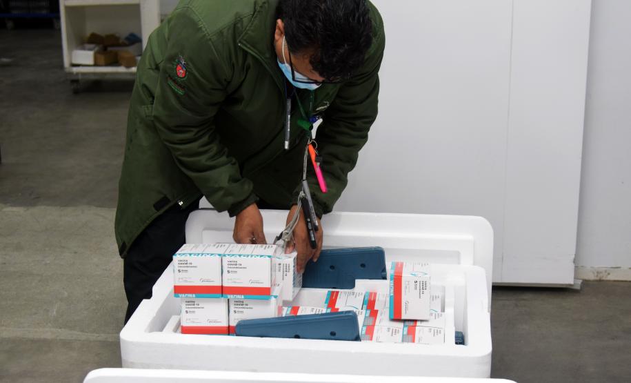 Estado recebe mais vacinas e anuncia início da aplicação da dose de reforço