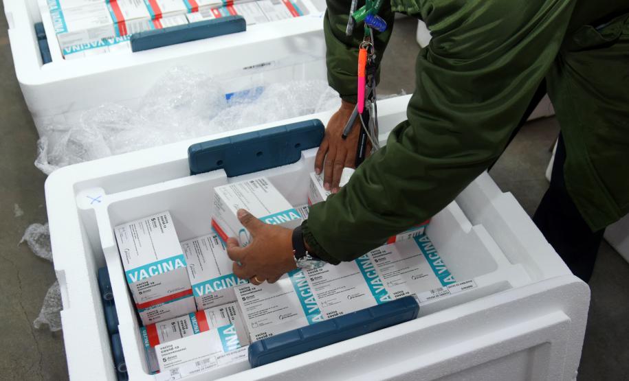 Estado recebe mais vacinas e anuncia início da aplicação da dose de reforço
