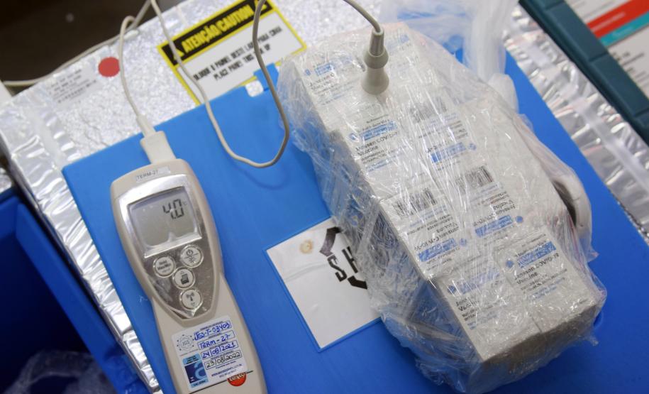 Estado recebe mais vacinas e anuncia início da aplicação da dose de reforço