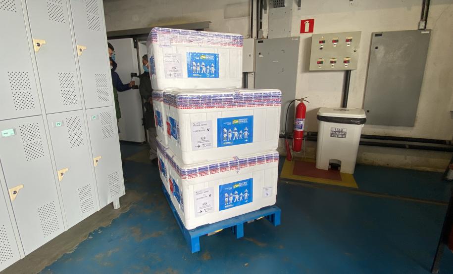 Paraná recebe 55,2 mil vacinas contra a Covid-19 para segunda dose; 229,3 mil chegam à noite