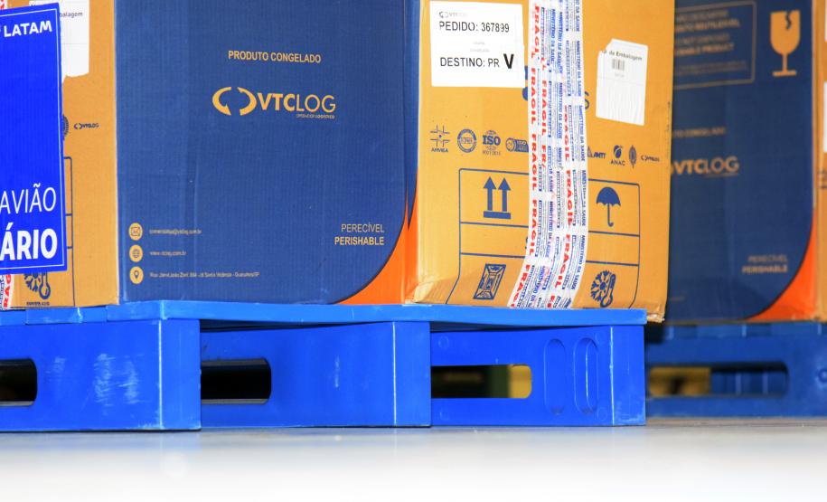 Paraná recebe novo lote de vacinas contra a Covid-19 e distribui 195,3 mil imunizantes nesta terça